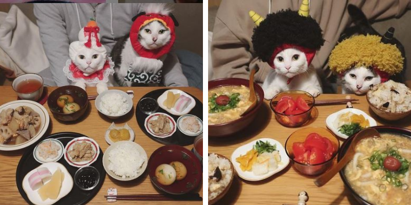 hóa trang một chút trước bữa ăn